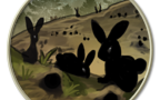 Rabbitburrows